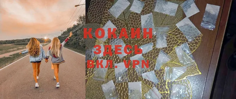 закладки  Луга  Кокаин Fish Scale 